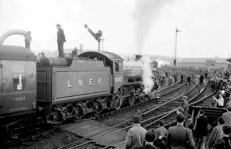 261D77F9-C301-49C3-AA0A-FBBAC32FF290.jpeg 261D77F9-C301-49C3-AA0A-FBBAC32FF290.jpeg