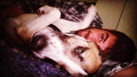 Daniel Ben Harosh 29415572.jpg