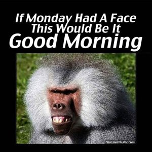 Monday-Had-A-Face-This-Would-Be-It.-Good-Morning.jpg