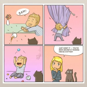 catsu 1comic_kitten_sm..jpg