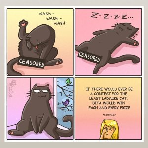 catsu 1comic_ladylike_sm..jpg