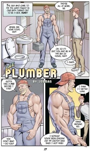 The  Plumber .jpg