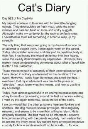 2. cat's diary.jpg