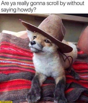 are-ya-really-gonna-scroll-by-without-saying-howdy-cute-fox-in-a-hat.jpg