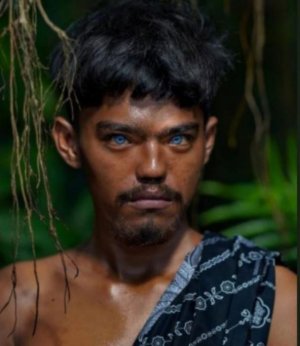 BLUE-EYED NATIVE.jpg