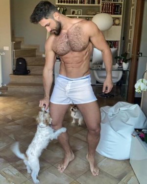 Bibbi Deg 61720391.jpg