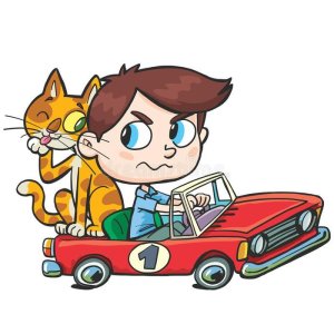 cute-cat-on-car.jpg