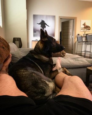 Greg Browne and Max 54463767.jpg