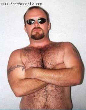 coolbear.jpg