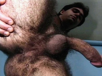 hairy-ass-b012.jpg
