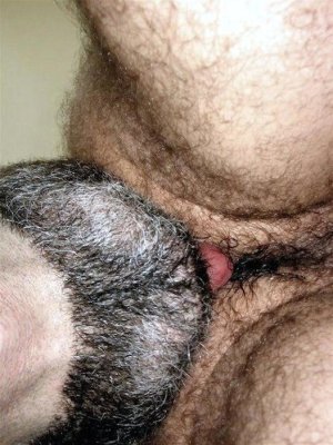 hairy-ass-b027.jpg