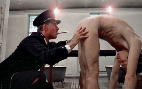 Seekandyoushallfind .gif