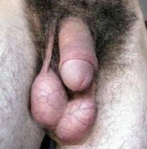 nT_eb7sjdp4pzkk8r6pz8vrj6s4x.jpg nT_eb7sjdp4pzkk8r6pz8vrj6s4x.jpg