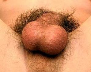 nT_tvazs82sxsafcgfav46fg6unc.jpg nT_tvazs82sxsafcgfav46fg6unc.jpg