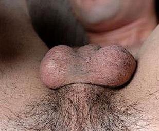 nT_rdhserpcqskv23b2193st1ixv.jpg nT_rdhserpcqskv23b2193st1ixv.jpg