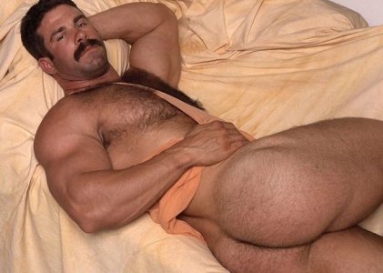 ass colt_a699bb031e8e4bf1955cf9413dac5c2d_3588fc4e_640.jpg