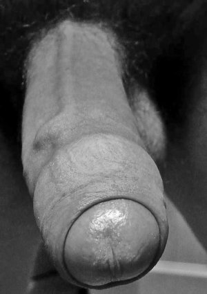 big cock in blackwhite.jpg