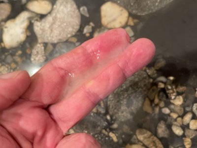 Edging Cum2.jpg Edging Cum2.jpg