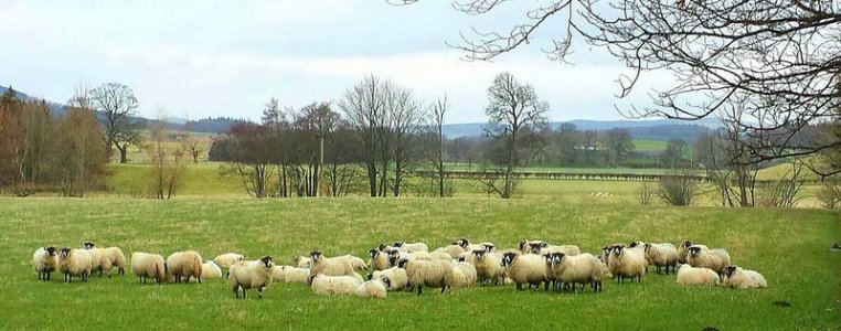 2016-02-24 23.07.17.jpg