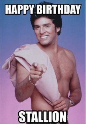 happy birthday stallion a.jpg