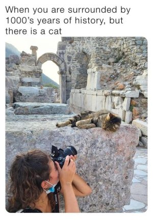 tumblr_4e37b937a420c6a121b876bdf60c5b9f_245afb4b_1280.jpg tumblr_4e37b937a420c6a121b876bdf60c5b9f_245afb4b_1280.jpg