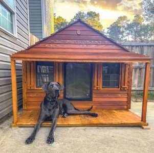 Brittany-Michelles-pup-and-his-Goliath-dog-house.jpg