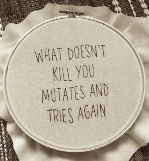 What doesntkillyou.jpg