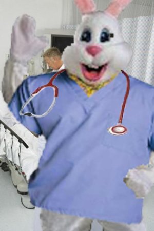 bunny doc.jpg