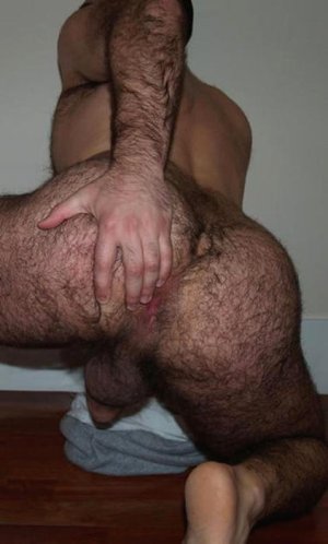 hairy-ass-a030.jpg