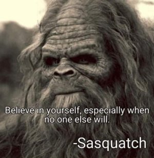 sasquatch.jpg