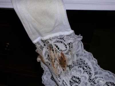 Desiree panties #3.jpg