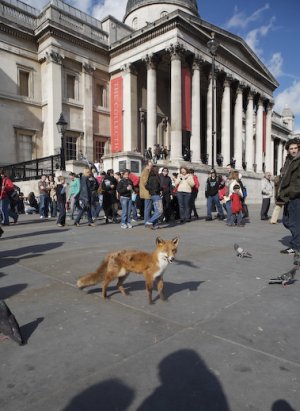 trafalger square.jpg