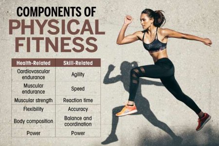 components-of-physical-fitness-infographic.jpg