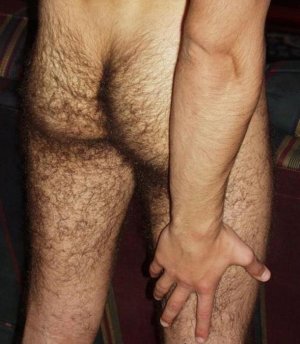 hairy-ass04.jpg