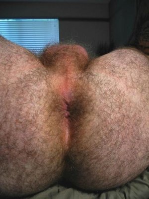 hairy-ass05.jpg