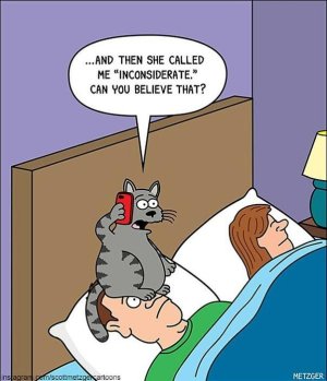 cat-comics-scott-metzger-9-5fb77c7226fa6__605.jpg