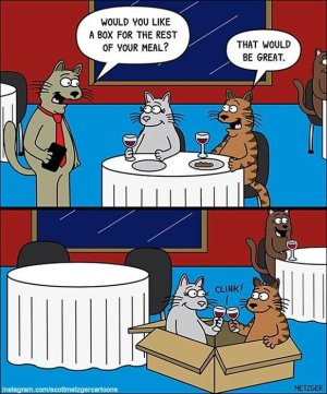 cat-comics-scott-metzger-24-5fb77c9032e8c__605.jpg