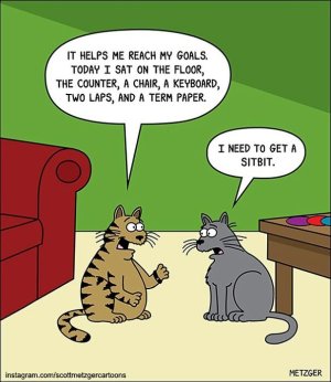 cat-comics-scott-metzger-30-5fb77c9c1cd6f__605.jpg