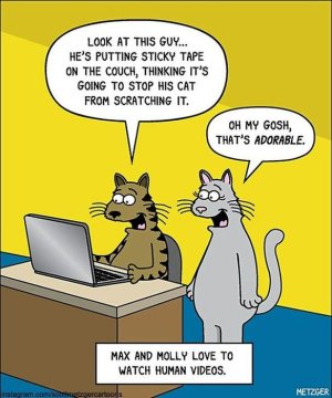 cat-comics-scott-metzger-34-5fb77ca526b2e__605.jpg