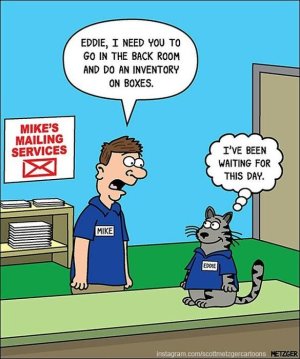 cat-comics-scott-metzger-57-5fb77cd21da31__605.jpg