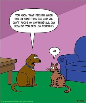cat-comics-scott-metzger-66-5fb77ce428cf1__605.jpg