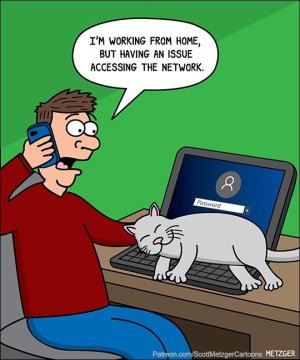home-but-having-an-issue-accessing-network-8-password-patreoncomscottmetzgercartoons-metzger.jpg