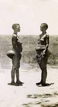 images (2).jpeg images (2).jpeg