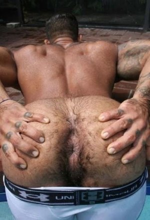 hairy-ass-a02.jpg