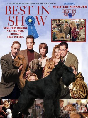 miniature-schnauzer-art-canvas-print-best-in-show-movie-poster-sandra-sij.jpg