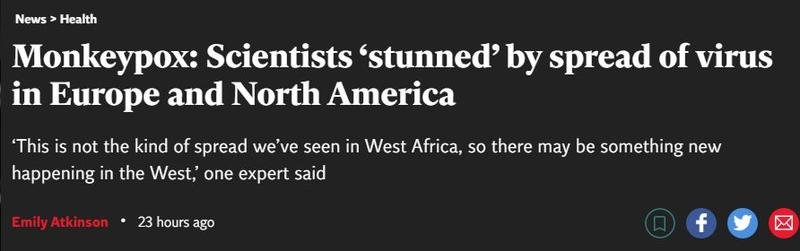 Monkypox 1.jpg