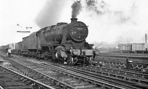 254806C8-39AA-426F-BA5A-EA7CB8743B0B.jpg 254806C8-39AA-426F-BA5A-EA7CB8743B0B.jpg