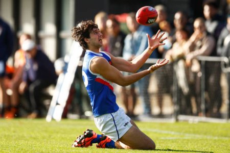 gettyimages-1404987050-612x612 (1).jpg