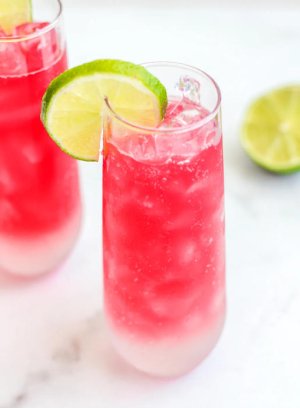 Cranberry Ginger Fizz Mocktail.jpg