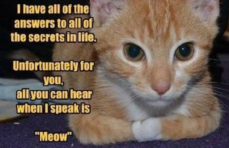 Answers to the secret of life.jpg